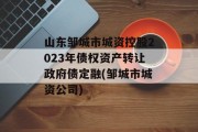 山东邹城市城资控股2023年债权资产转让政府债定融(邹城市城资公司)