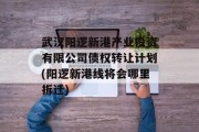 武汉阳逻新港产业投资有限公司债权转让计划(阳逻新港线将会哪里拆迁)