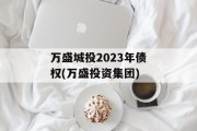 万盛城投2023年债权(万盛投资集团)