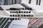 安徽wxgy投资控股2024年债权项目城投债定融(安徽城投公司董事长)