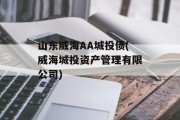 山东威海aa城投债(威海城投资产管理有限公司)