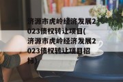 济源市虎岭经济发展2023债权转让项目(济源市虎岭经济发展2023债权转让项目招标)