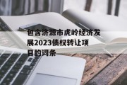 包含济源市虎岭经济发展2023债权转让项目的词条