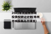 2023年河南林州城投债权转让计划(林州市城投有几个项目)