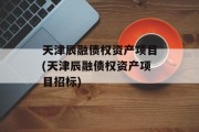 天津辰融债权资产项目(天津辰融债权资产项目招标)