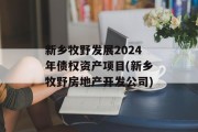 新乡牧野发展2024年债权资产项目(新乡牧野房地产开发公司)