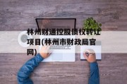 林州财通控股债权转让项目(林州市财政局凯发k8官网)