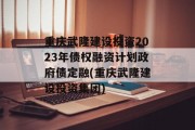 重庆武隆建设投资2023年债权融资计划政府债定融(重庆武隆建设投资集团)