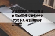 武汉阳逻新港产业投资有限公司债权转让计划(武汉市阳逻新港国际大酒店)