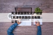 天津辰融债权资产项目(天津市辰融投资有限公司)