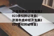 济源市虎岭经济发展2023债权转让项目(济源市虎岭经济发展2023债权转让项目)