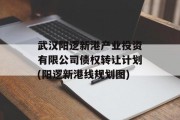 武汉阳逻新港产业投资有限公司债权转让计划(阳逻新港线规划图)