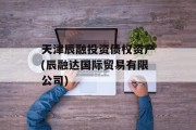 天津辰融投资债权资产(辰融达国际贸易有限公司)