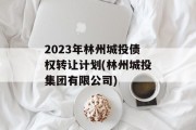 2023年林州城投债权转让计划(林州城投集团有限公司)