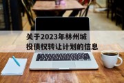 关于2023年林州城投债权转让计划的信息