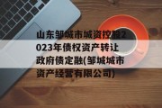 山东邹城市城资控股2023年债权资产转让政府债定融(邹城城市资产经营有限公司)