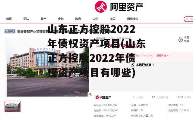 山东正方控股2022年债权资产项目(山东正方控股2022年债权资产项目有哪些)