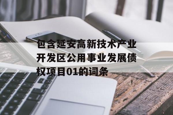 包含延安高新技术产业开发区公用事业发展债权项目01的词条