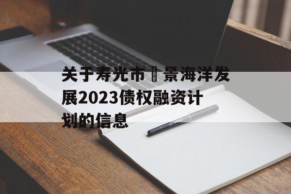 关于寿光市昇景海洋发展2023债权融资计划的信息