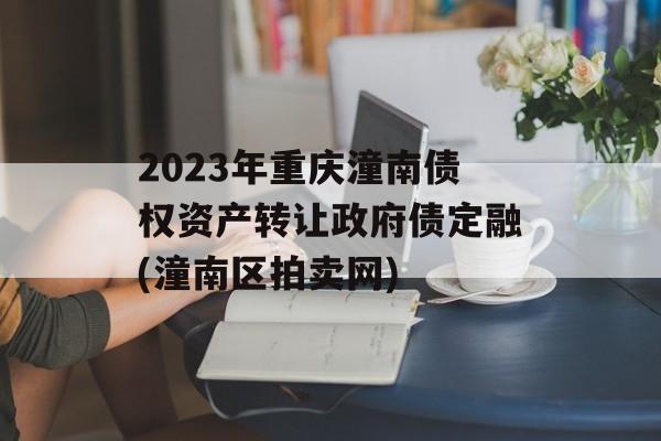 2023年重庆潼南债权资产转让政府债定融(潼南区拍卖网)