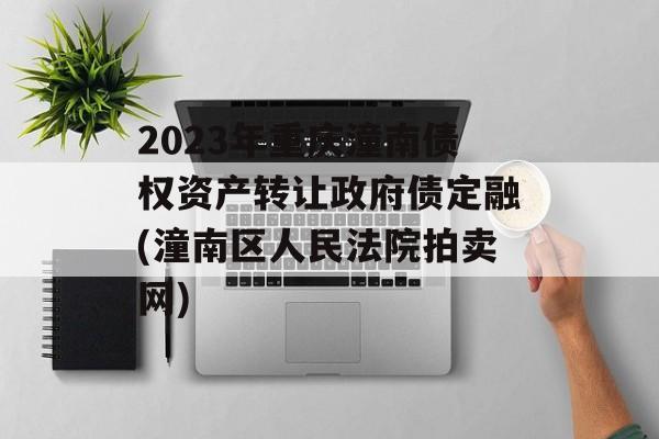 2023年重庆潼南债权资产转让政府债定融(潼南区人民法院拍卖网)