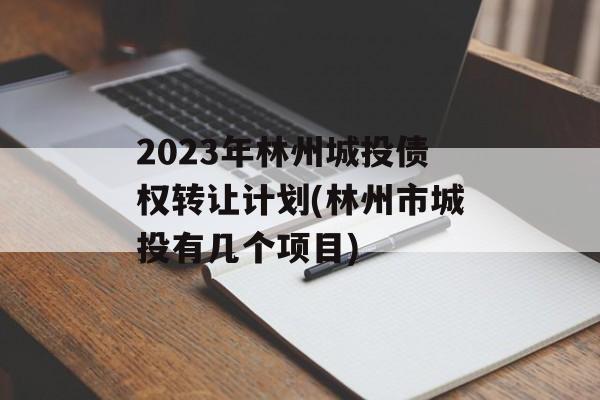 2023年林州城投债权转让计划(林州市城投有几个项目)