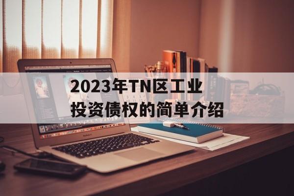 2023年tn区工业投资债权的简单介绍