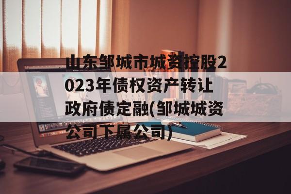 山东邹城市城资控股2023年债权资产转让政府债定融(邹城城资公司下属公司)