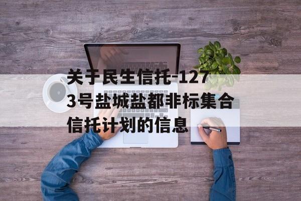 关于民生信托-1273号盐城盐都非标集合信托计划的信息