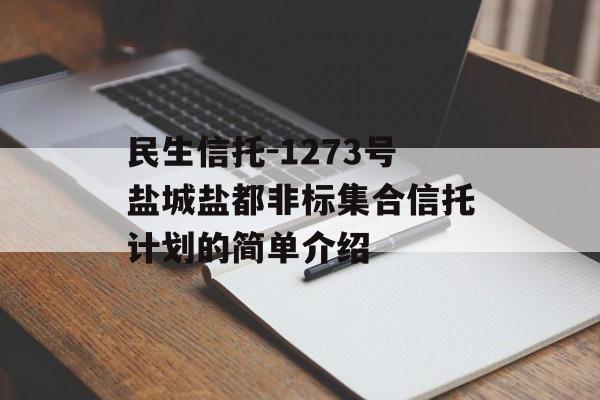 民生信托-1273号盐城盐都非标集合信托计划的简单介绍