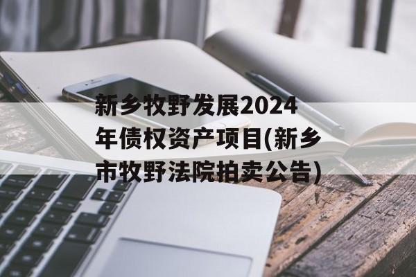 新乡牧野发展2024年债权资产项目(新乡市牧野法院拍卖公告)