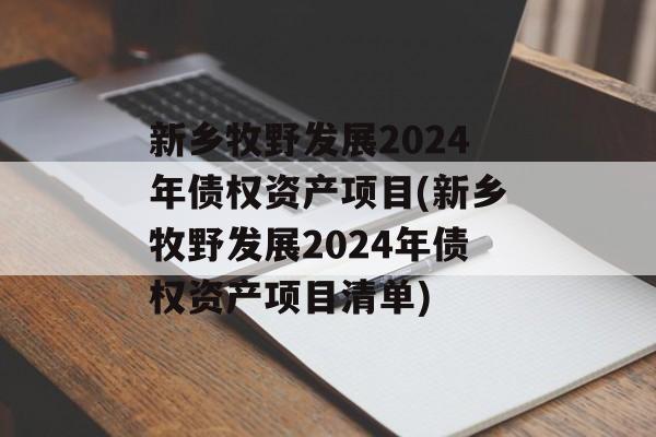 新乡牧野发展2024年债权资产项目(新乡牧野发展2024年债权资产项目清单)