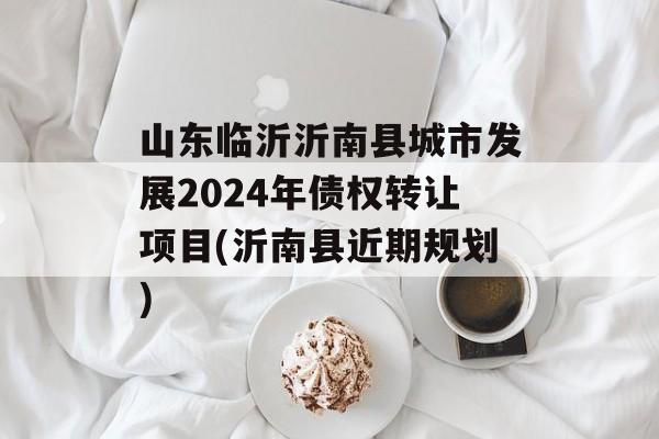 山东临沂沂南县城市发展2024年债权转让项目(沂南县近期规划)