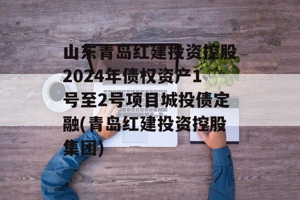 山东青岛红建投资控股2024年债权资产1号至2号项目城投债定融(青岛红建投资控股集团)