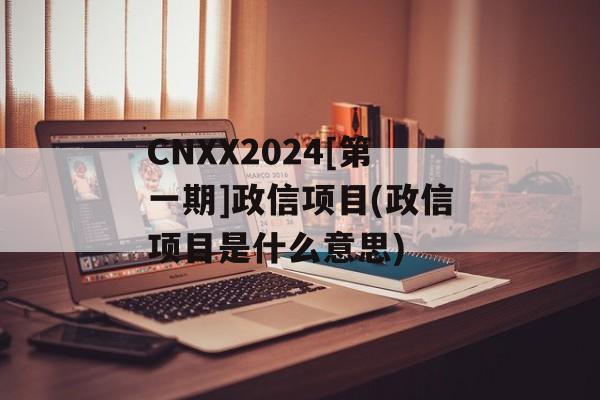 cnxx2024[第一期]政信项目(政信项目是什么意思)